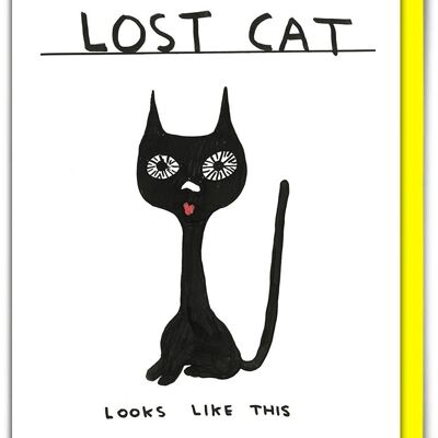 Birthday Card - Funny Everyday Card - Lost Cat