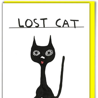 Birthday Card - Funny Everyday Card - Lost Cat