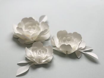 Coffret - Fleurs en papier à accrocher 4