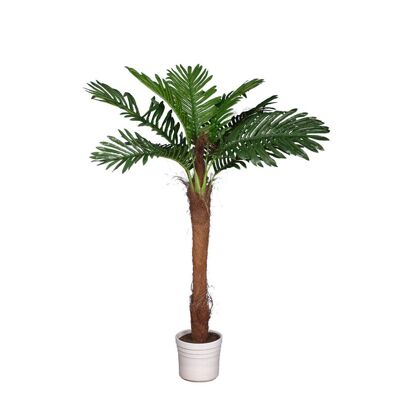 PALMERA HELECHOSA X1