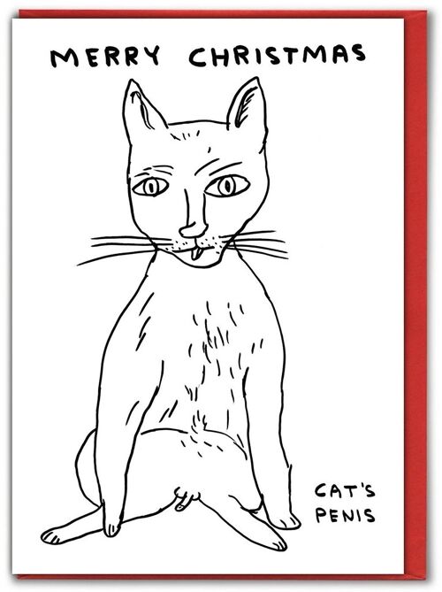 Christmas Card - Funny Cat Penis Xmas Card