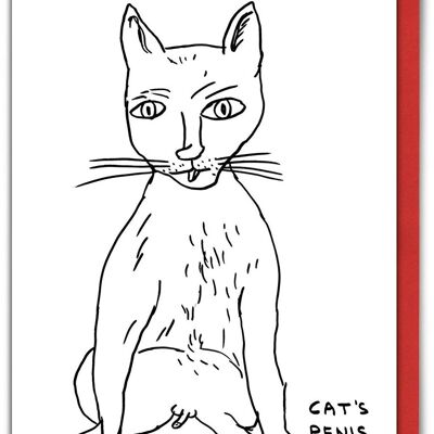 Cartolina di Natale - Cartolina di Natale con pene di gatto divertente