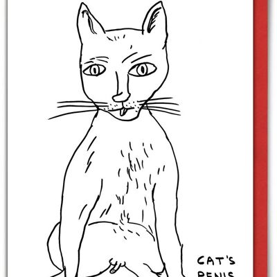Tarjeta de Navidad - Tarjeta de Navidad divertida del pene del gato
