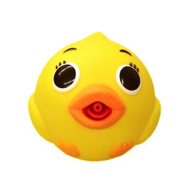 Squirbbles
Duck