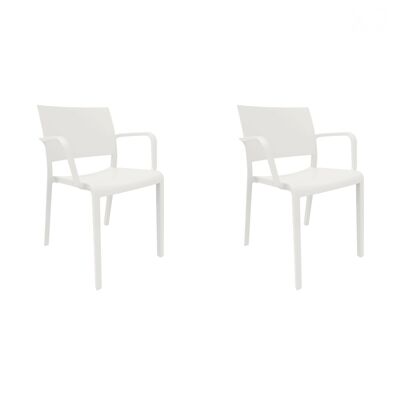 SET 2 CHAIR WITH ARMS NEW FIONA WHITE VT21016
