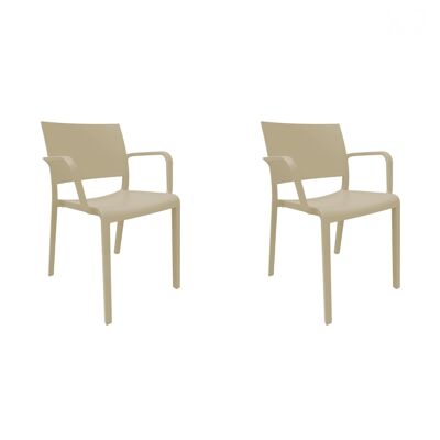 SET 2 CHAIR WITH ARMS NEW FIONA ARENA VT21020