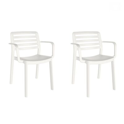 SET OF 2 WIND WHITE CHAIRS WITH ARMS VT21326