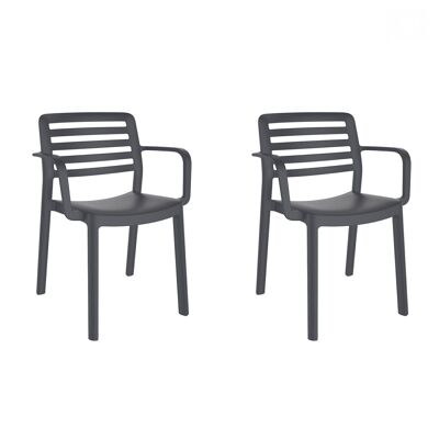 SET OF 2 CHAIRS WITH ARMS WIND CHOCOLATE VT21332