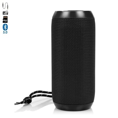 A117 portable Bluetooth speaker. USB reader, micro SD, FM radio and hands-free. 3.5mm jack auxiliary input. DMAG0065C00