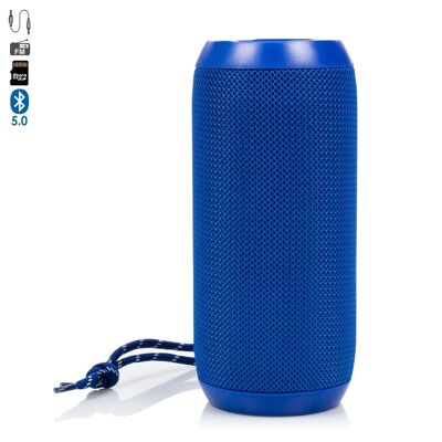 A117 portable Bluetooth speaker. USB reader, micro SD, FM radio and hands-free. 3.5mm jack auxiliary input. DMAG0065C30