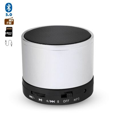 Enceinte compacte Martins Bluetooth 3.0 3W, avec mains libres et radio FM. DMAD0087C01