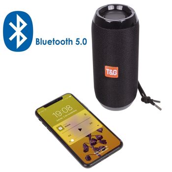 Haut-parleur portable Bluetooth 5.0 TG-117. Lecteur USB, micro SD, radio FM et mains libres. Entrée auxiliaire jack 3,5 mm. DMAF0066C00 4