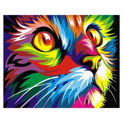 Tela con disegno per dipingere con i numeri, 40x50cm. Disegno gatto multicolore. Include pennelli e colori necessari. DMAH0066C91V1