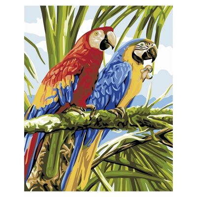 Leinwand mit Zeichnung zum Malen nach Zahlen, 40x50cm. Papagei-Design. Inklusive notwendiger Pinsel und Farben. DMAH0066C16