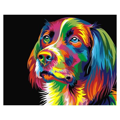 Tela con disegno per dipingere con i numeri, 40x50cm. Disegno di cane multicolore. Include pennelli e colori necessari. DMAH0066C91V3