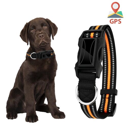 Localizador GPS especial para perros y mascotas. BDS+LBS+AGPS. Collar de 40 a 64cm de diámetro, reflectante. DMAL0065C15