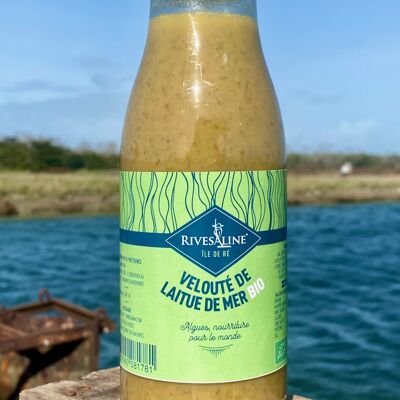 Sopa de lechuga de mar ecológica 500 ml