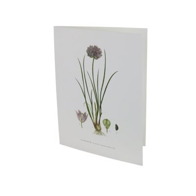 Greeting card Chives