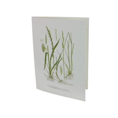 Greeting card Beach wheat