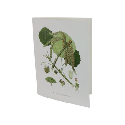 Greeting card Asp