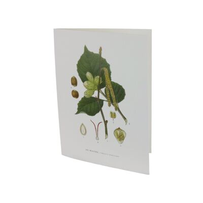 Greeting card Hassel