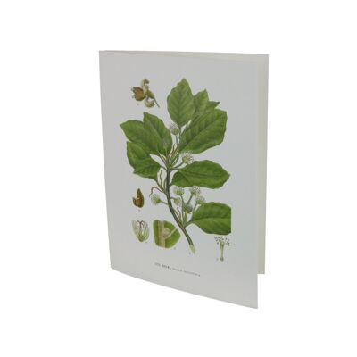 Greeting card Book