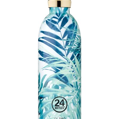 Clima Bottle | Lush - 850 ml