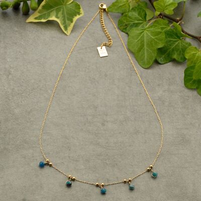 COLLARES 507341