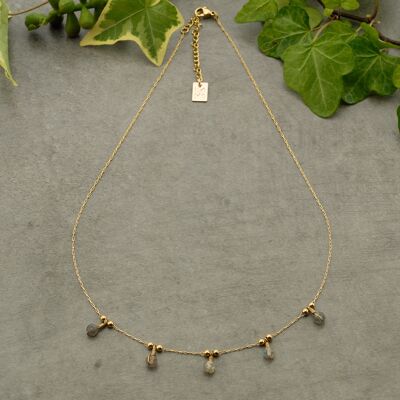 COLLARES 507342