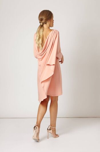 Iconiques de la robe nude Gery Pink 1