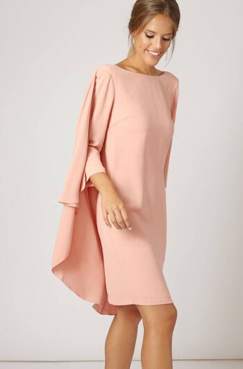 Iconiques de la robe nude Gery Pink 2