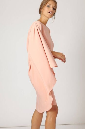 Iconiques de la robe nude Gery Pink 4