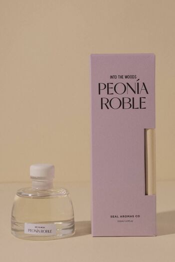 Désodorisant en stick Nolita (4 parfums) · Déco · 4