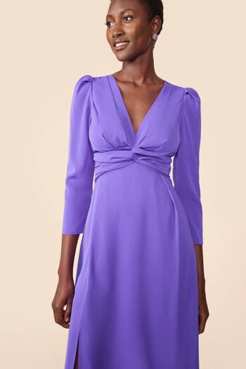 Allégorie de la robe violette d'Oda 4