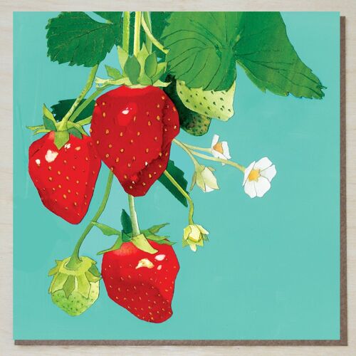 Strawberries Card (fruit cards)