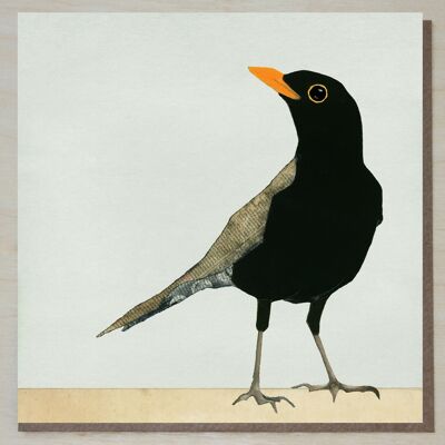 Blackbird Card (British birds)