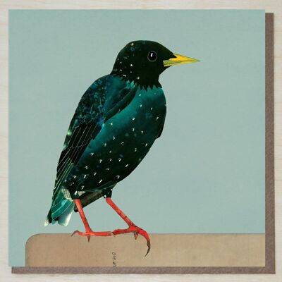 Tarjeta Starling (pájaros británicos)