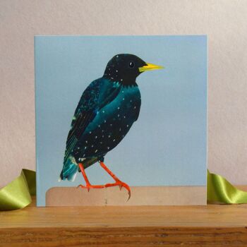 Carte Starling (Oiseaux Britanniques) 2