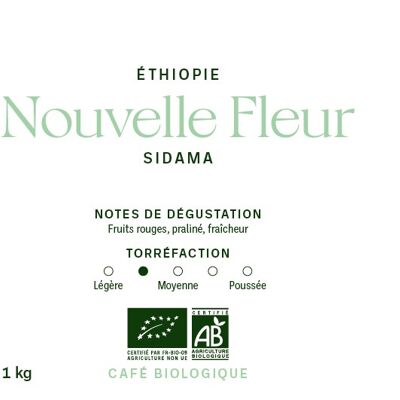 Café d’Ethiopie Bio – Grains 1kg – Nouvelle Fleur