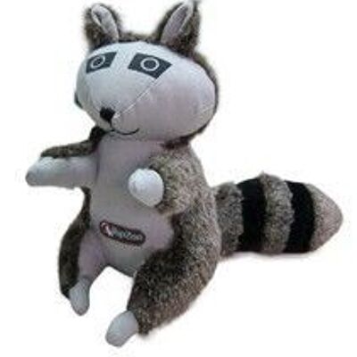 Raccoon S