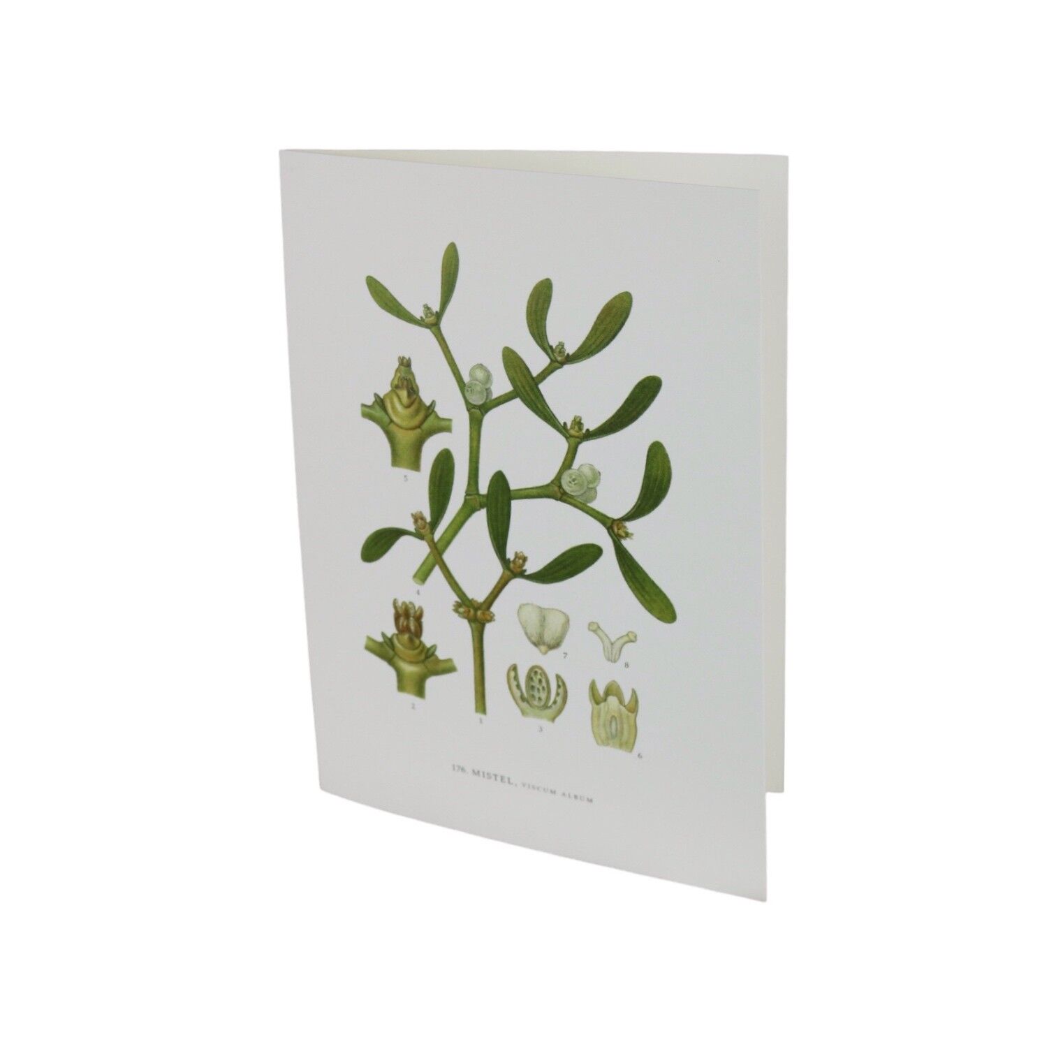 Grußkarte Mistel