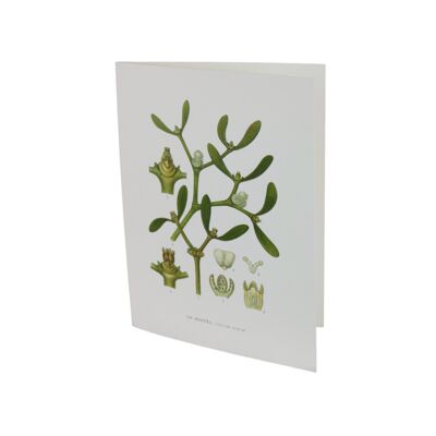 Greeting card Mistletoe