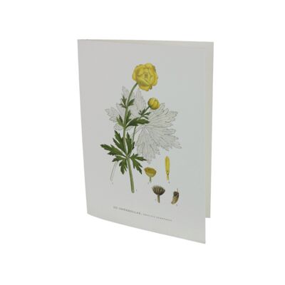 Greeting card Butterballs