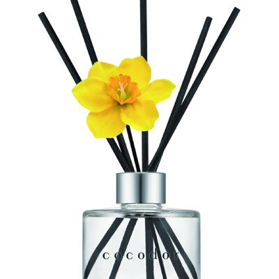 Cocodor Daffodil Diffuser 120ml (PDI30934) - Vanilla & Sandalwood