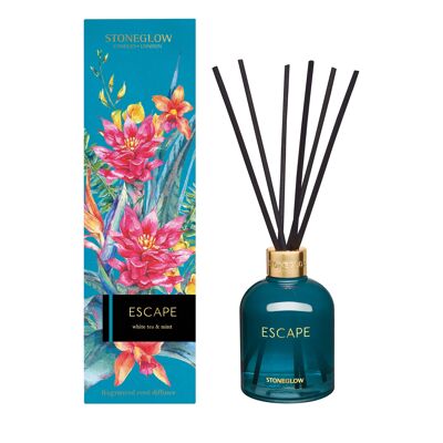 Infusión - Té blanco y menta - Difusor de caña (verde azulado) Escape