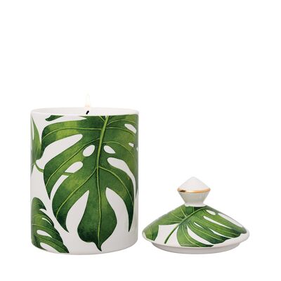 Botanica Urbana - Cocco | Lime Zest - Candela in ceramica