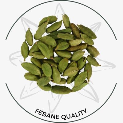 Cardamomo · حب الهال