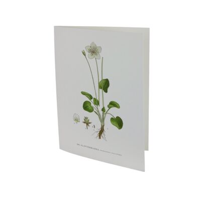 Carte de voeux Slatterblomma