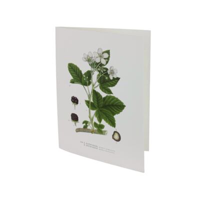 Greeting card Blackberries
