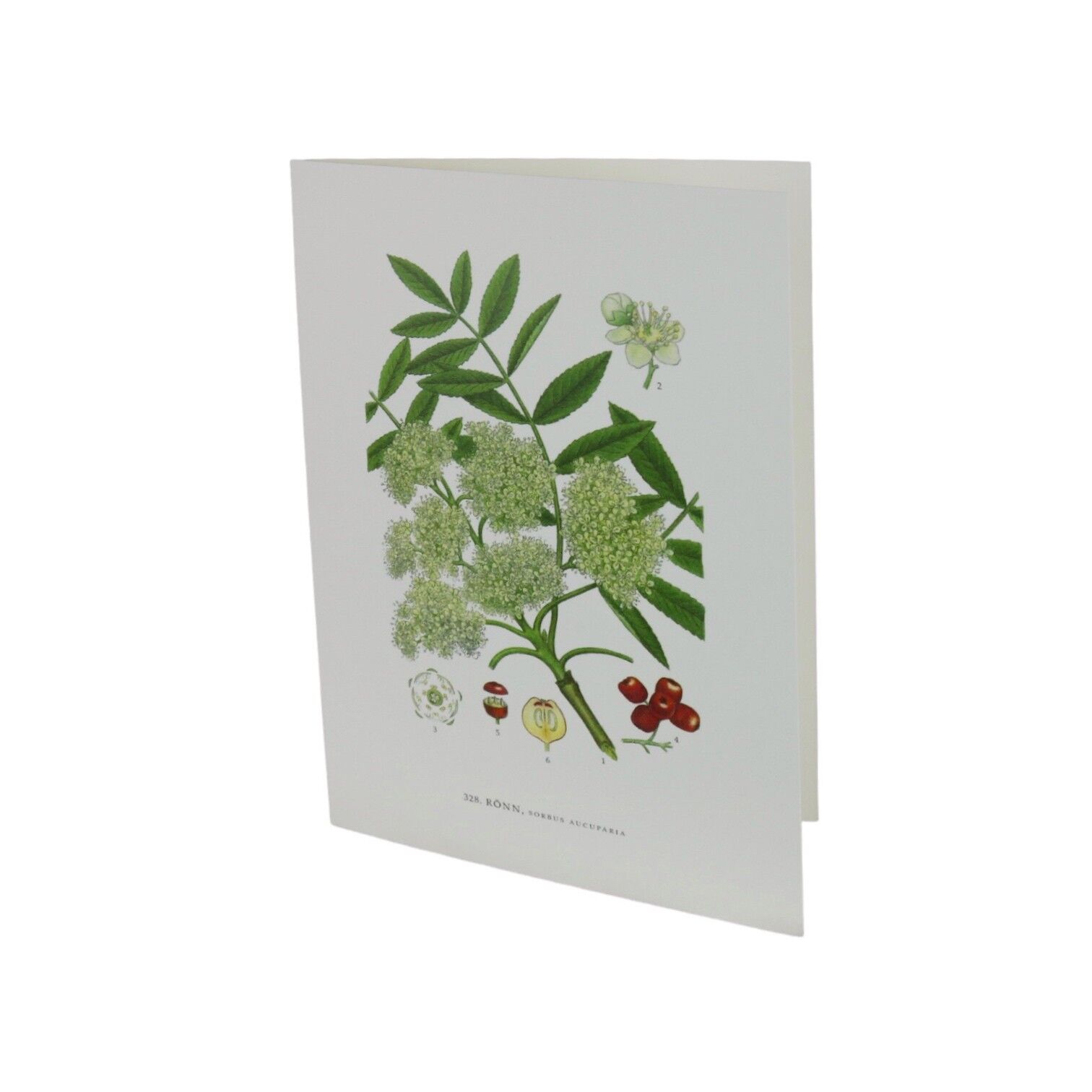 Grußkarte Rönn